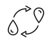 Circulation lymphatique